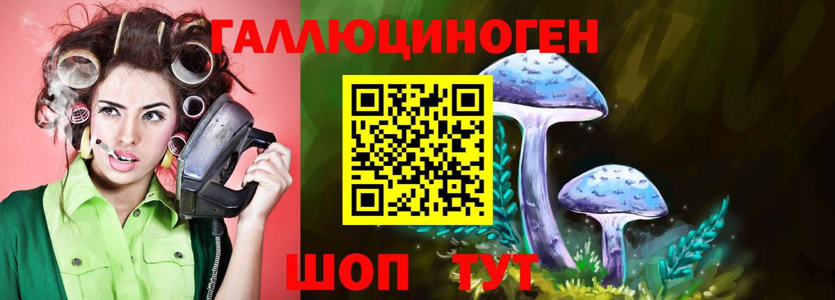 как найти закладки  Вход с VPN  Борисоглебск  Псилоцибиновые грибы Psilocybe 